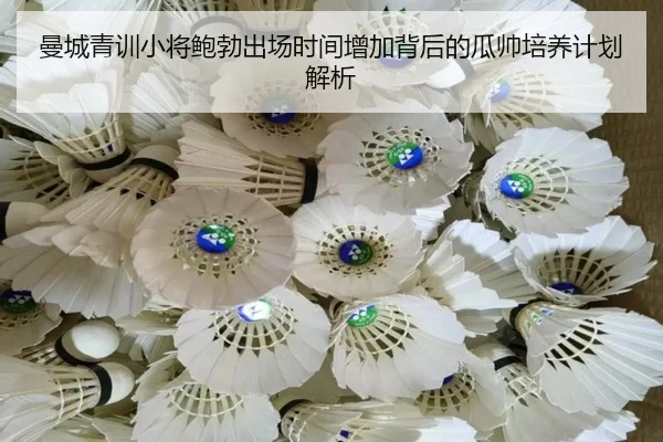 曼城青训小将鲍勃出场时间增加背后的瓜帅培养计划解析