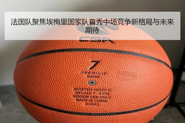 法国队聚焦埃梅里国家队首秀中场竞争新格局与未来期待